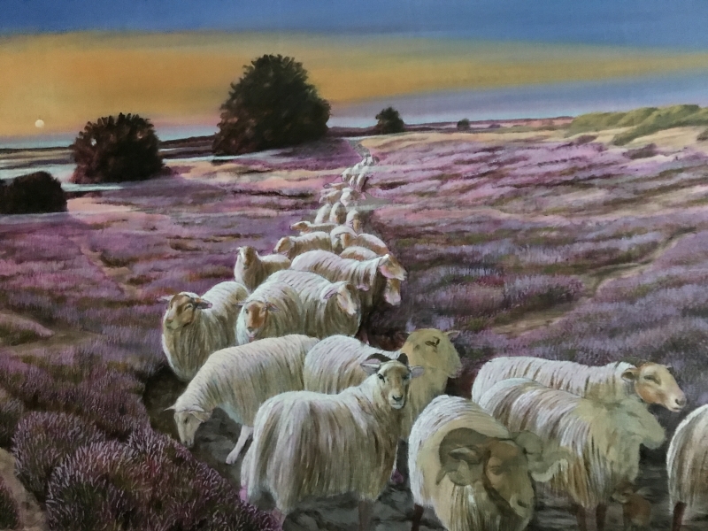 Polder landscape with sheeps