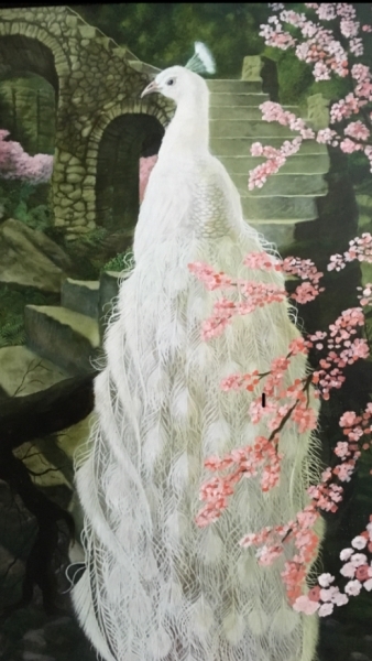 Witte Pauw
